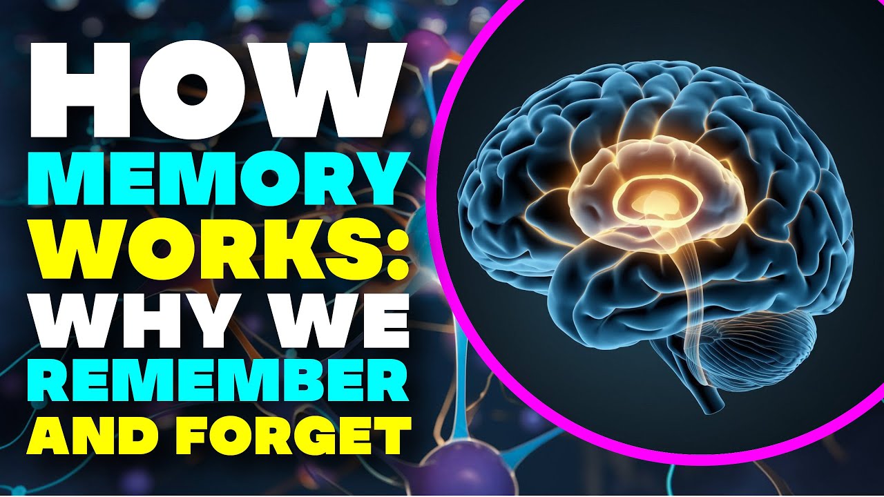The Science of Memory: How We Remember, Forget, and What Shapes Our Minds