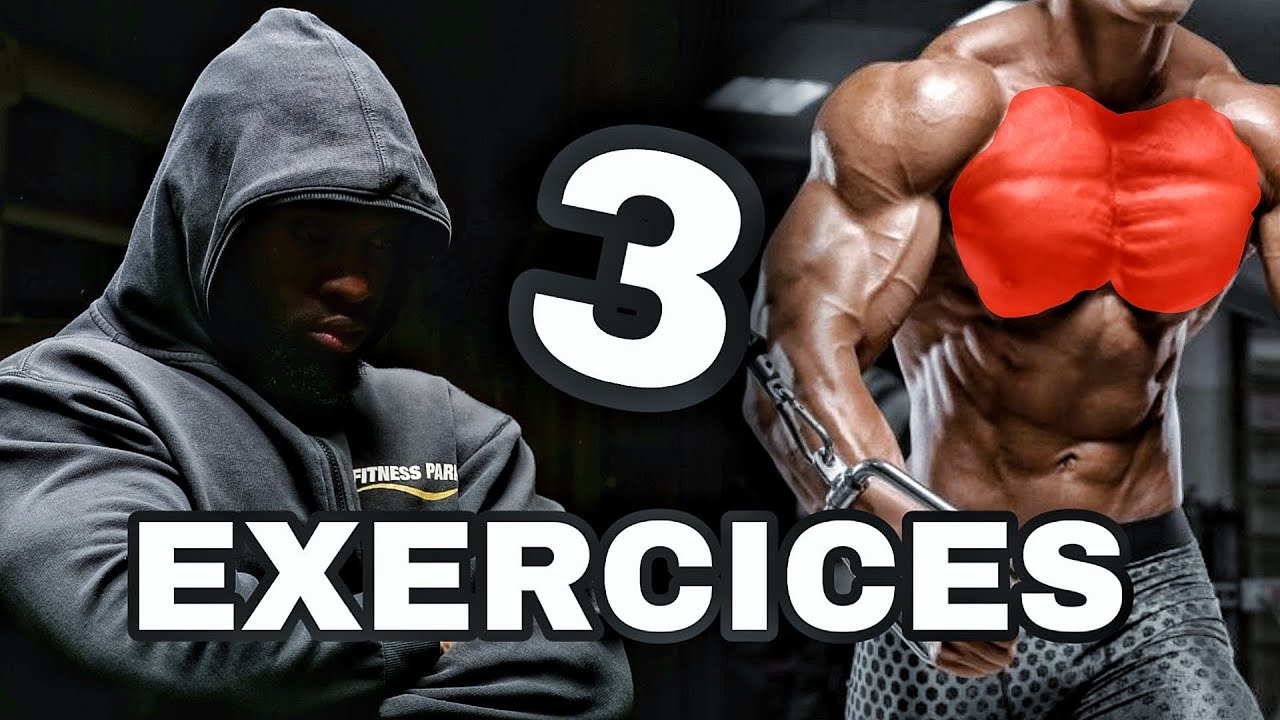 COMMENT AVOIR DES GROS PECTORAUX ? ( mes 3 exercices )