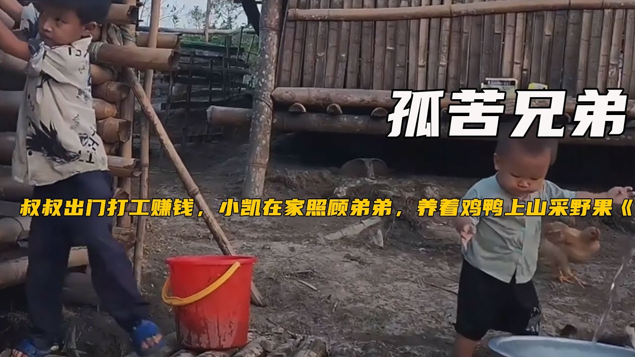 叔叔出門打工賺錢，小凱在家照顧弟弟，養著雞鴨上山采野果《孤苦兄弟131-135》