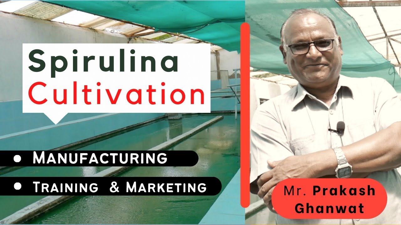 Spirulina Cultivation : Manufacturing, Training  and Marketing