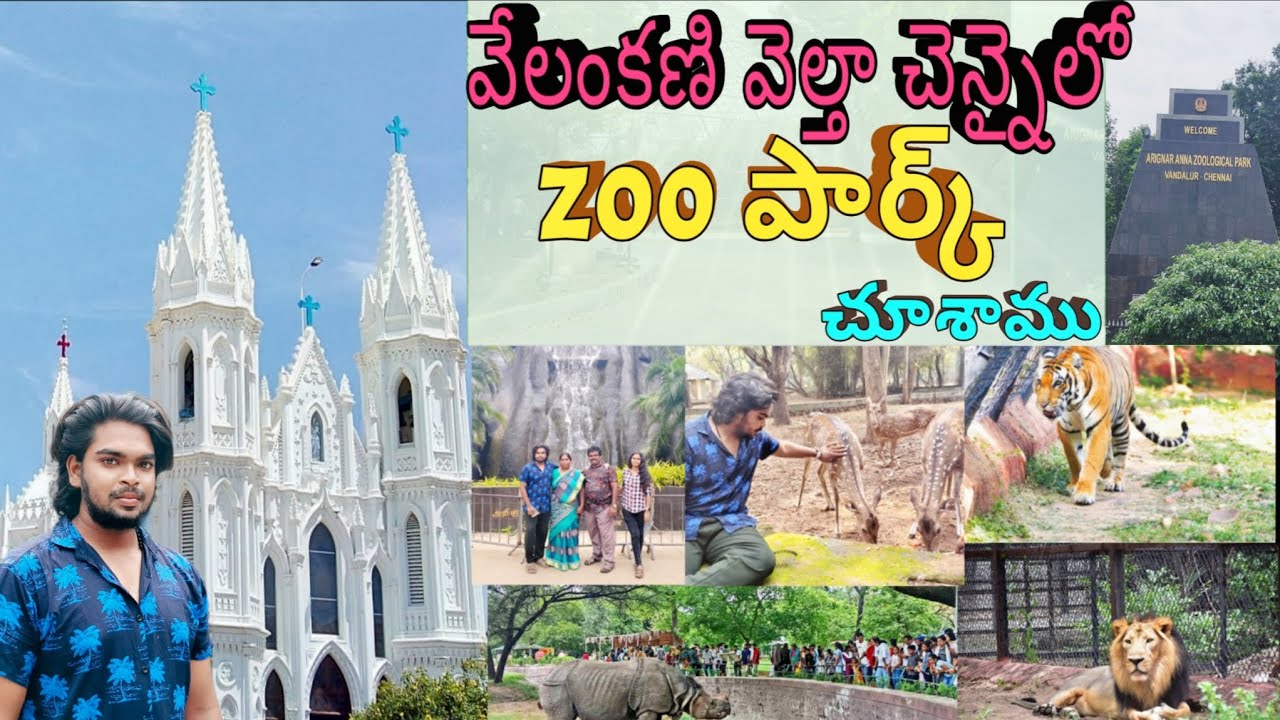 Velankkani Trip Telugu|chennai zoo park|chennai beach thomas church| velankkani Church|family trip 