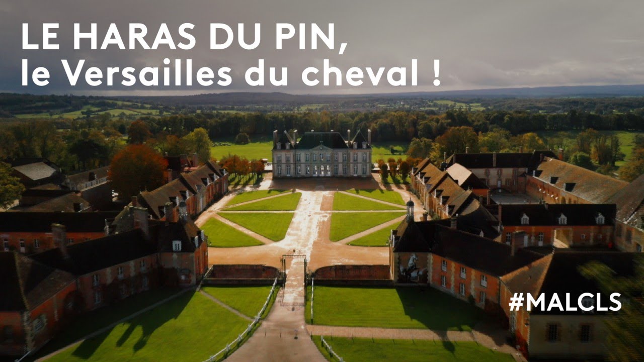 Le haras du Pin, le Versailles du cheval !