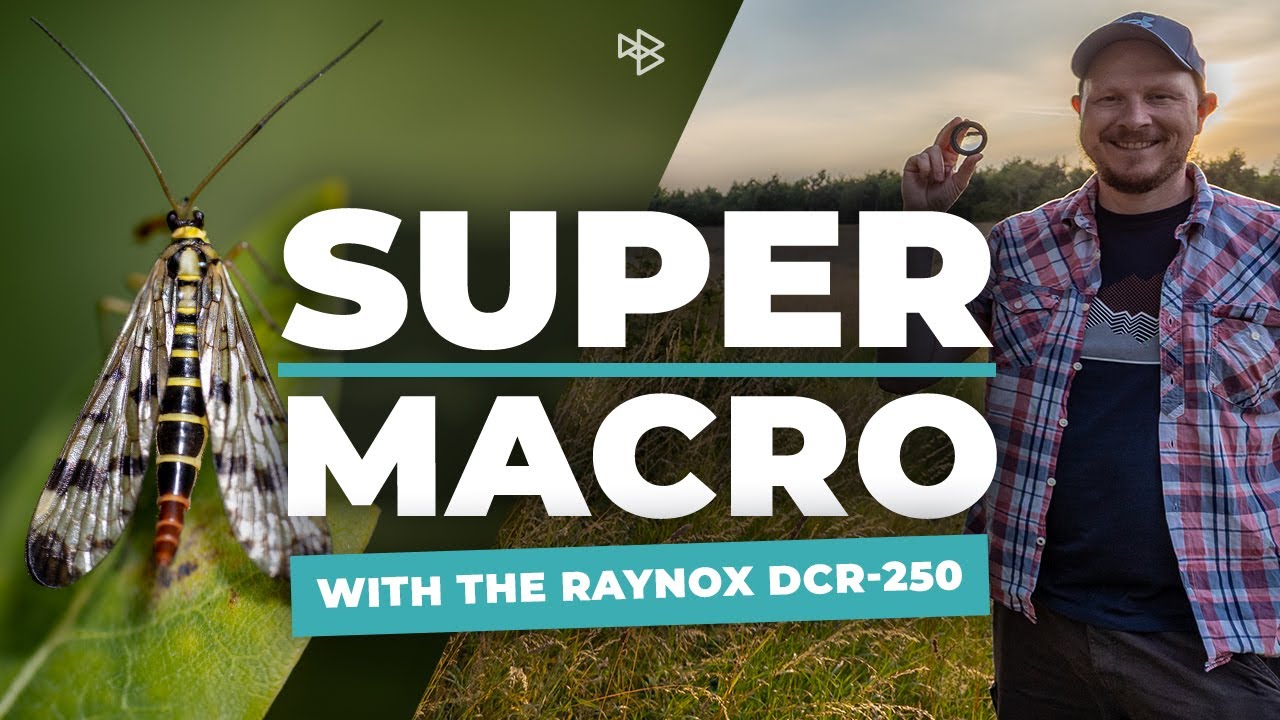 Raynox DCR-250 - Super Macro Photography