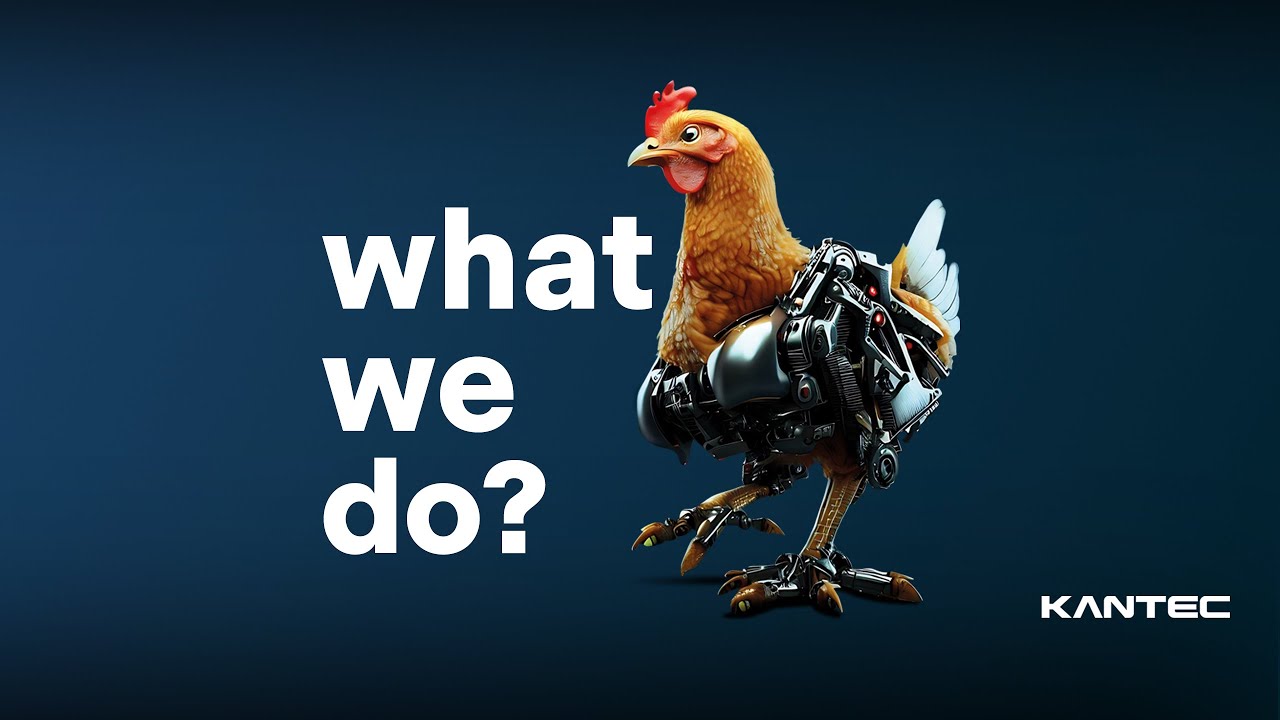 What We Do? | Robot and Machine Technologies for Chicken Slaughterhouses