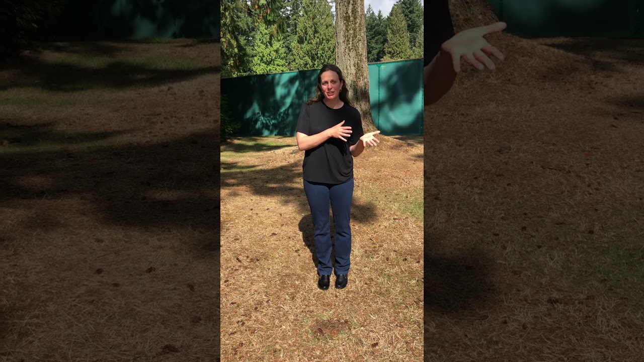 Nature Games: Fox Walking and Owl Eyes