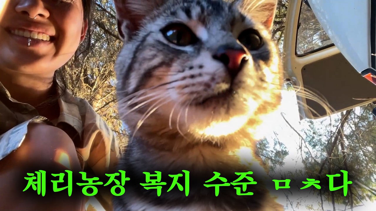 🇦🇺 호주농장 EP.0 농장 찍먹｜언제든 튈 준비를 하는 것=워홀러 필수 마음가짐