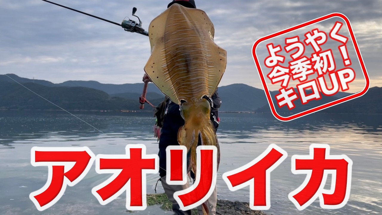 【エギング】やっと出た！今季初の良型！！