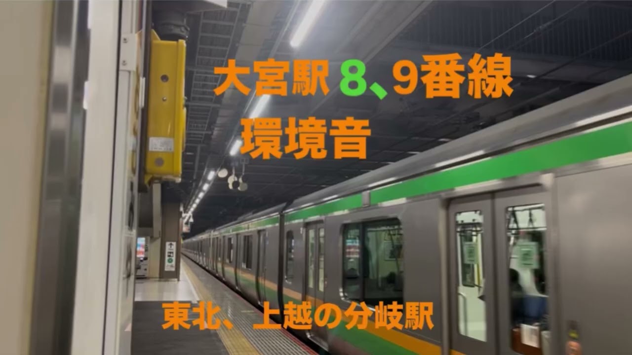 #23駅環境音大宮駅8.9番線ホーム