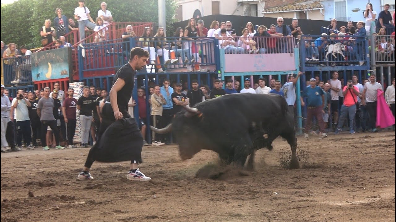 Suelta de 6 Toros de Murteira Grave y Palha - Fira de Onda - 24-10-25