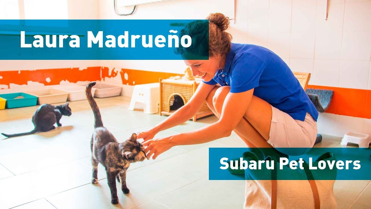 Así trabaja la protectora de animales ANAA