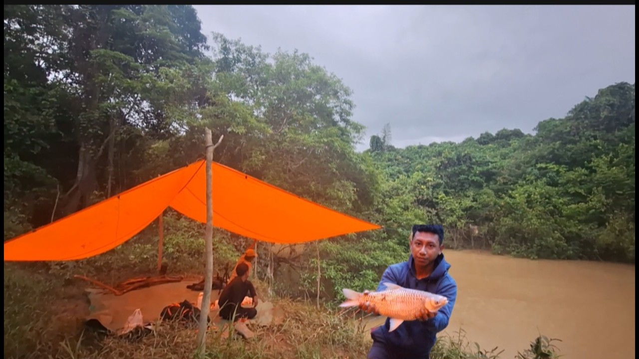 Camp fishing di balik derasnya hujan ada ikan besar yang menunggu umpan di pagi hari episode 53