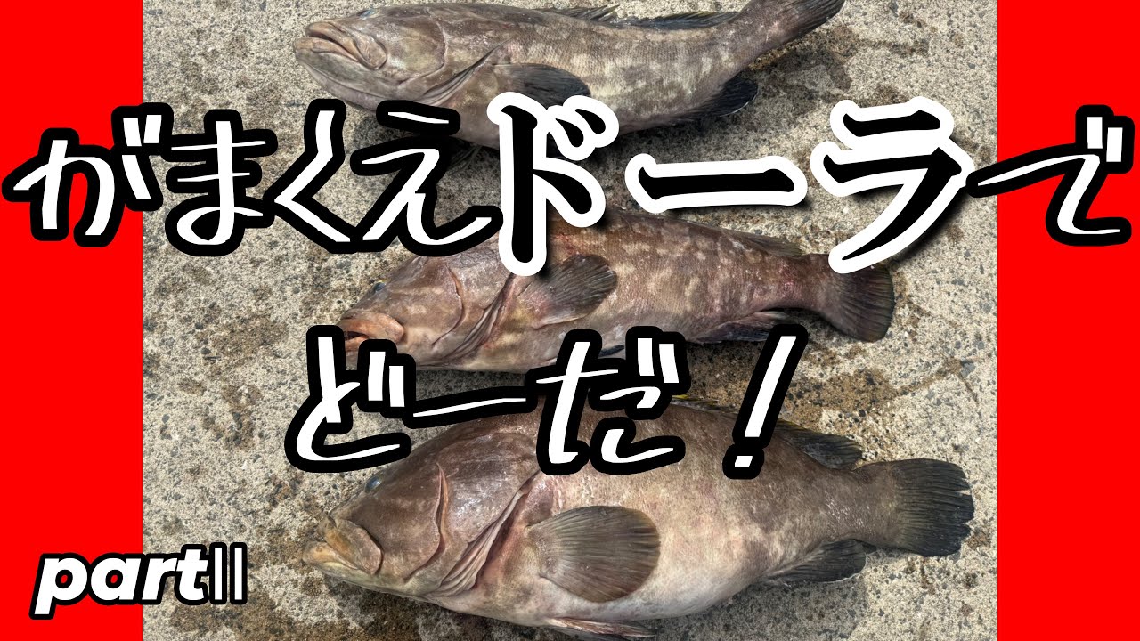 長崎県古志岐三礁ヘタの瀬のアラ釣り三発！パート2