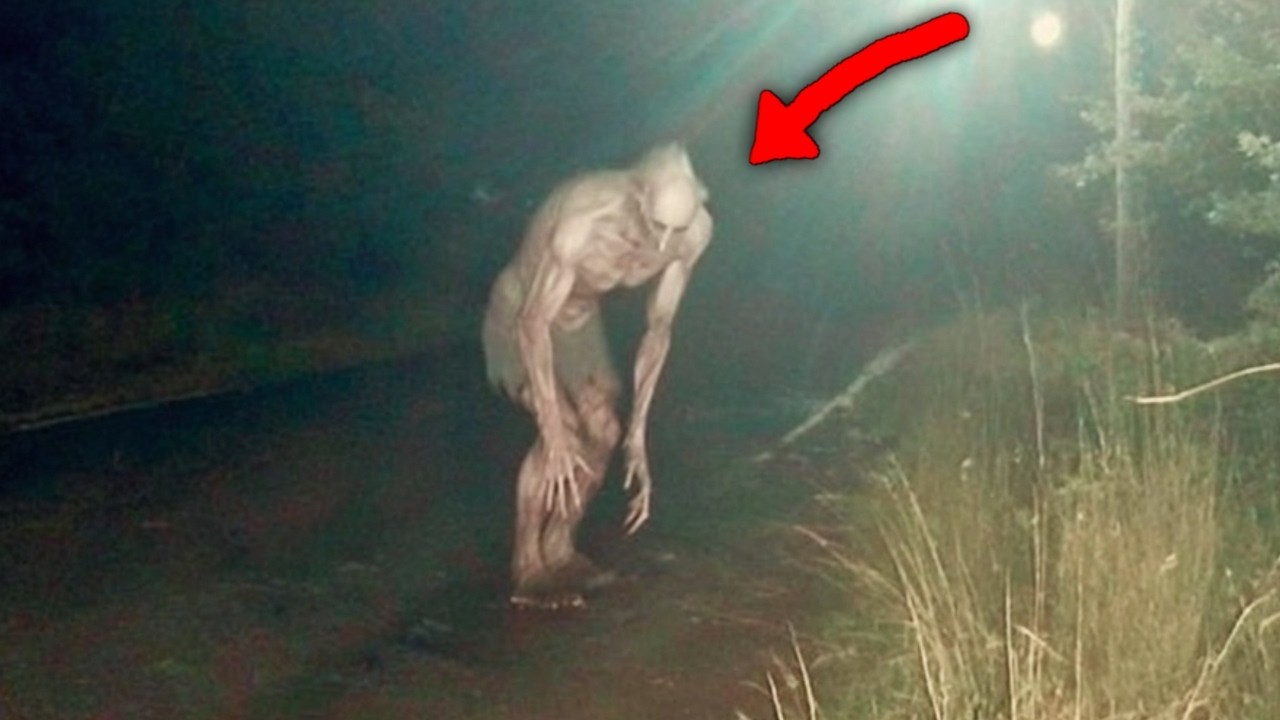 DISTURBING Viral Videos That Horrified Everyone Recently