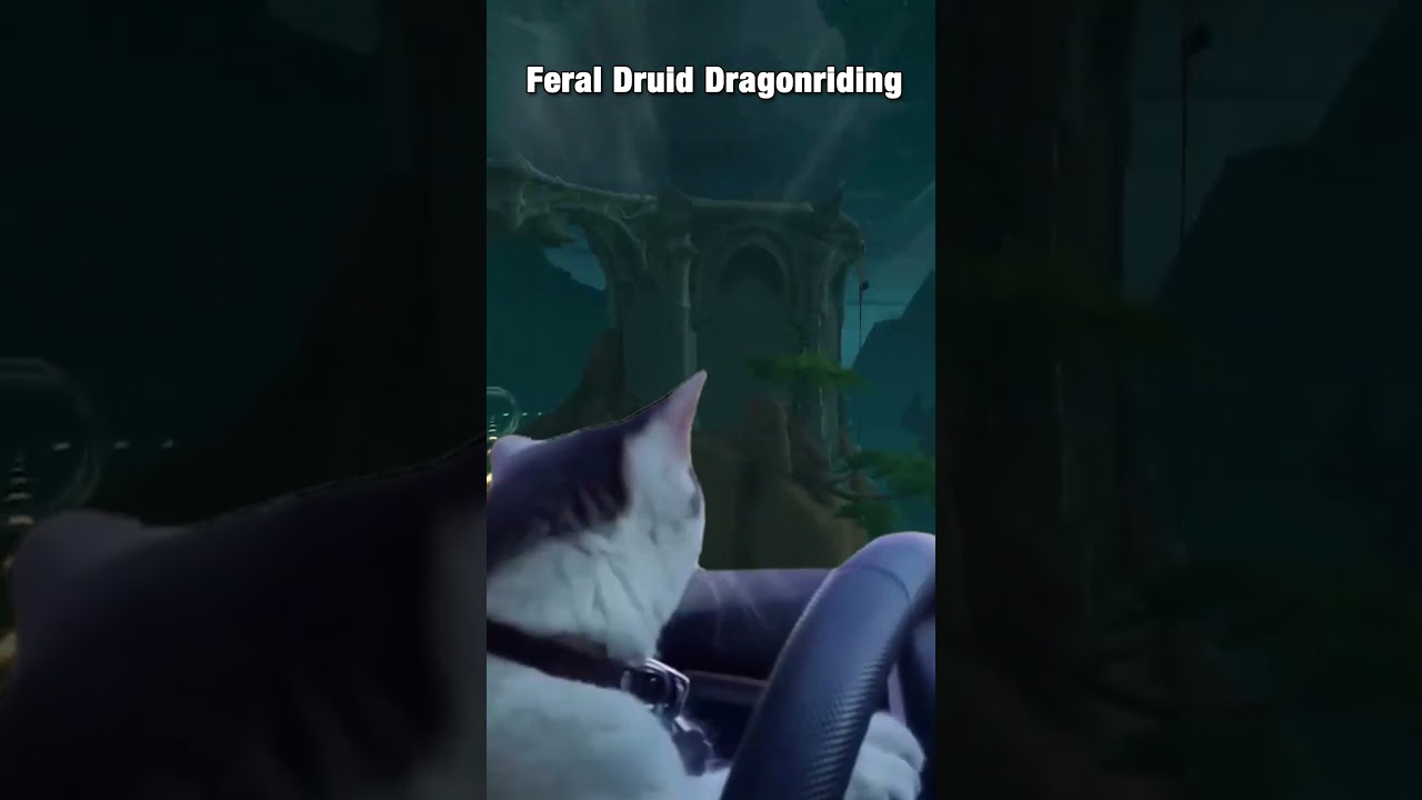 Feral Druid Dragonriding