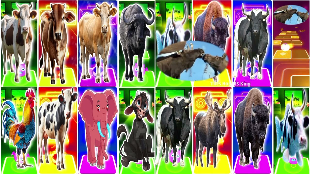 Funny Cow 🆚 The Buffalo 🆚 Funny Bull 🆚 Funny Animal Coffin Dance Song 🎶🎶