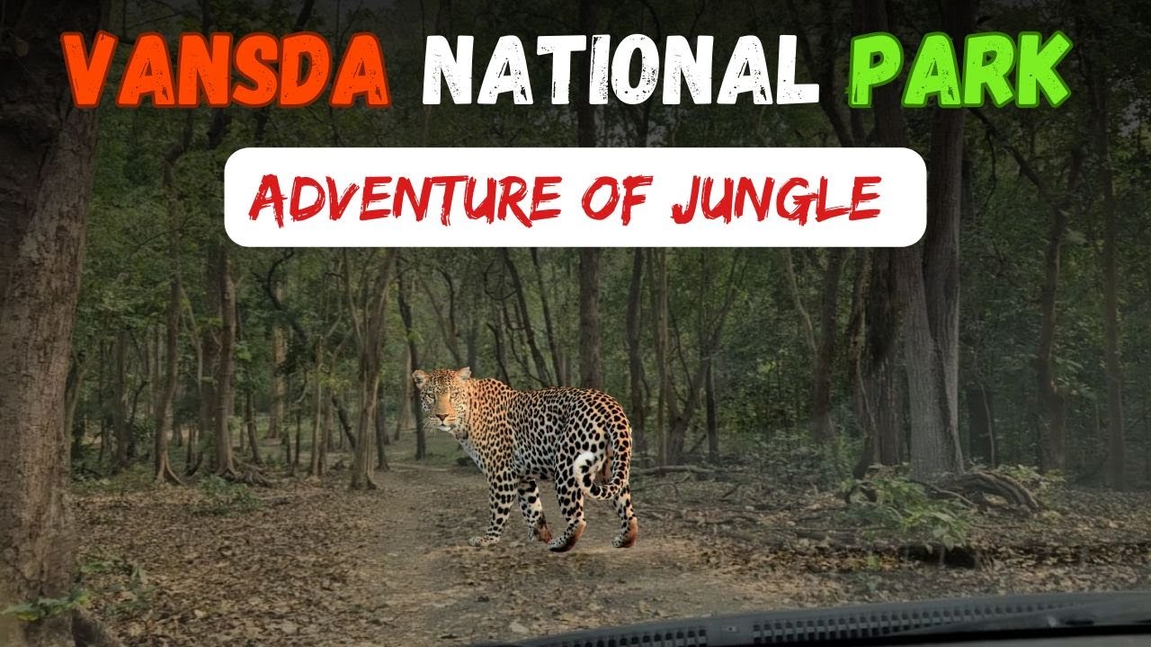 Vansda National Park (Gujarat) Adventure of jungle |Gujarat | waghai | oneday trip |sbchetan vlog |