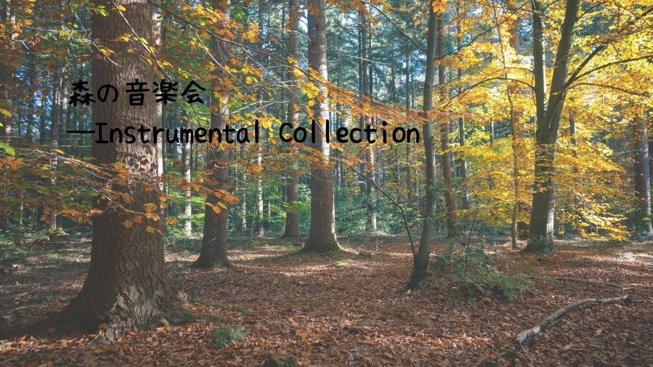 森の音楽会―Instrumental Collection