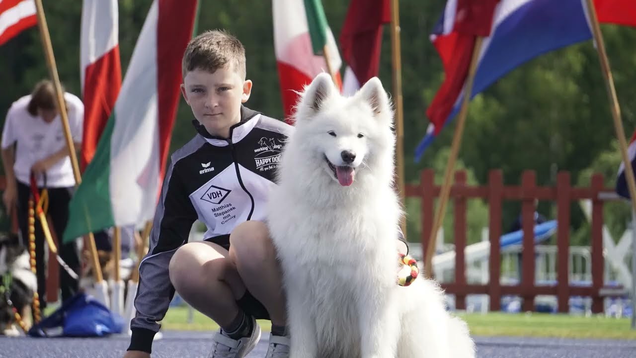 JO AWC 2022 Matthias & Conny; Agility Samoyed