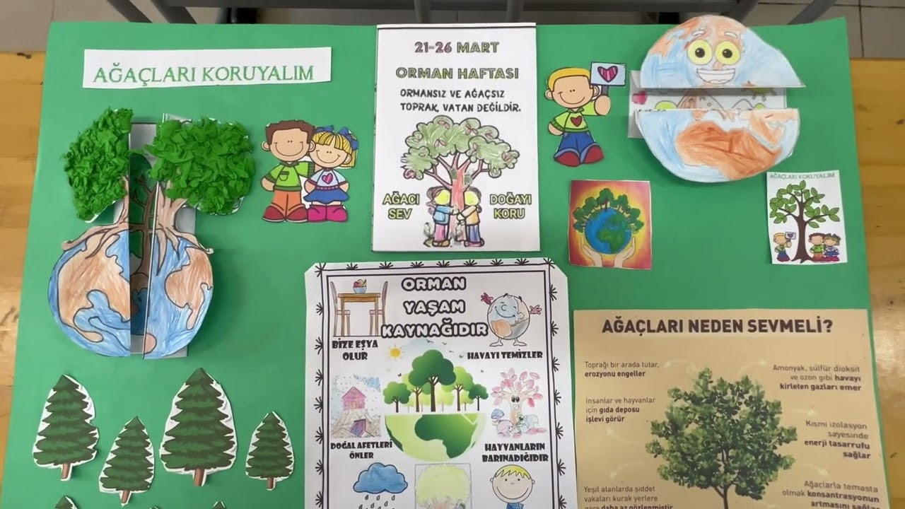 Ormanları Koruma Haftası Etkinliği🦋
