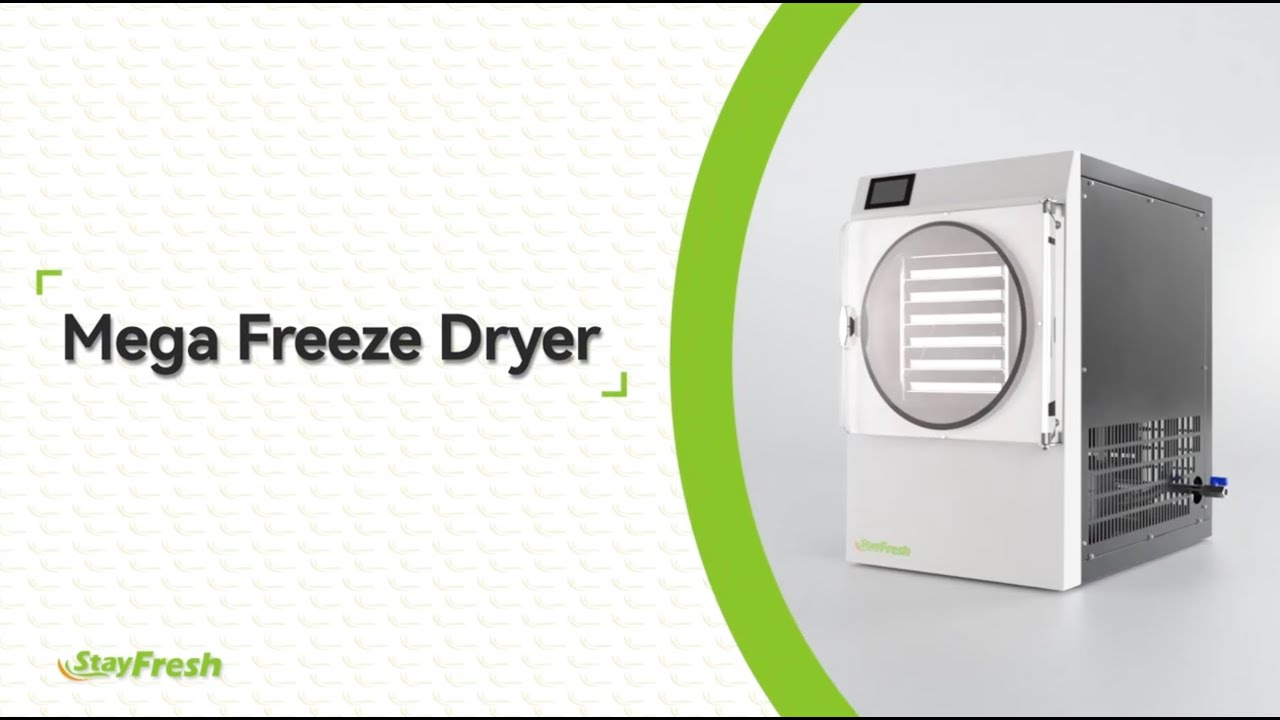 Stay Fresh Mega Freeze Dryer