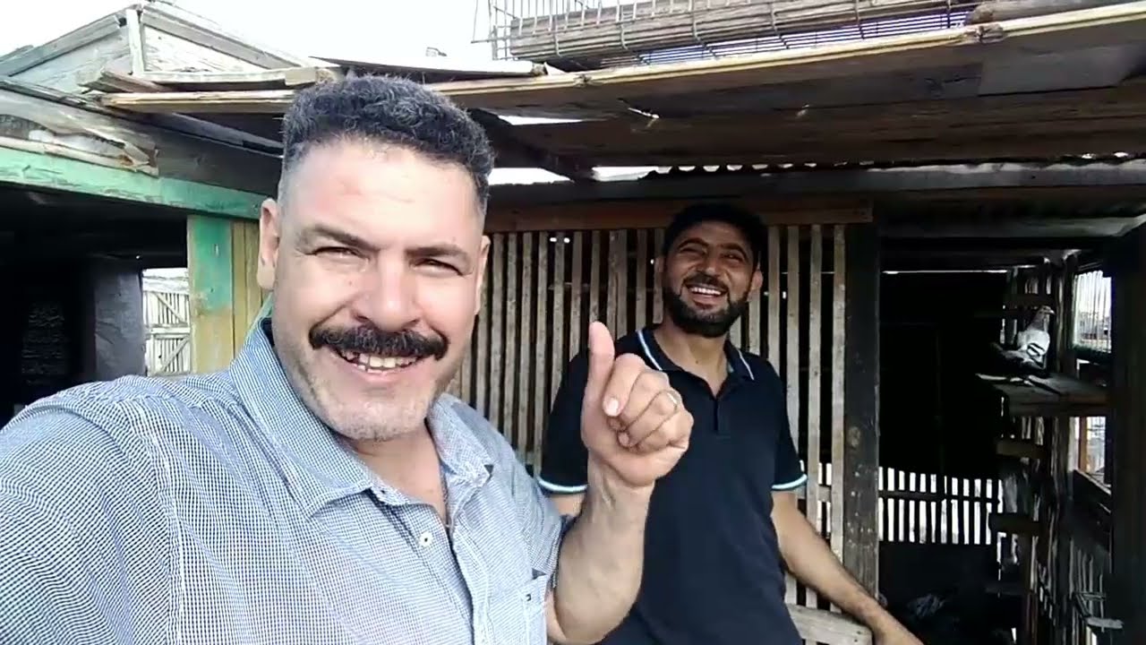 احلى فرجة في فتح الزاجل وتحبيسو من لوفت بسيط جدا وخبره عاليه جدا#احمد_ماكو_والحمام احلى حاجه
