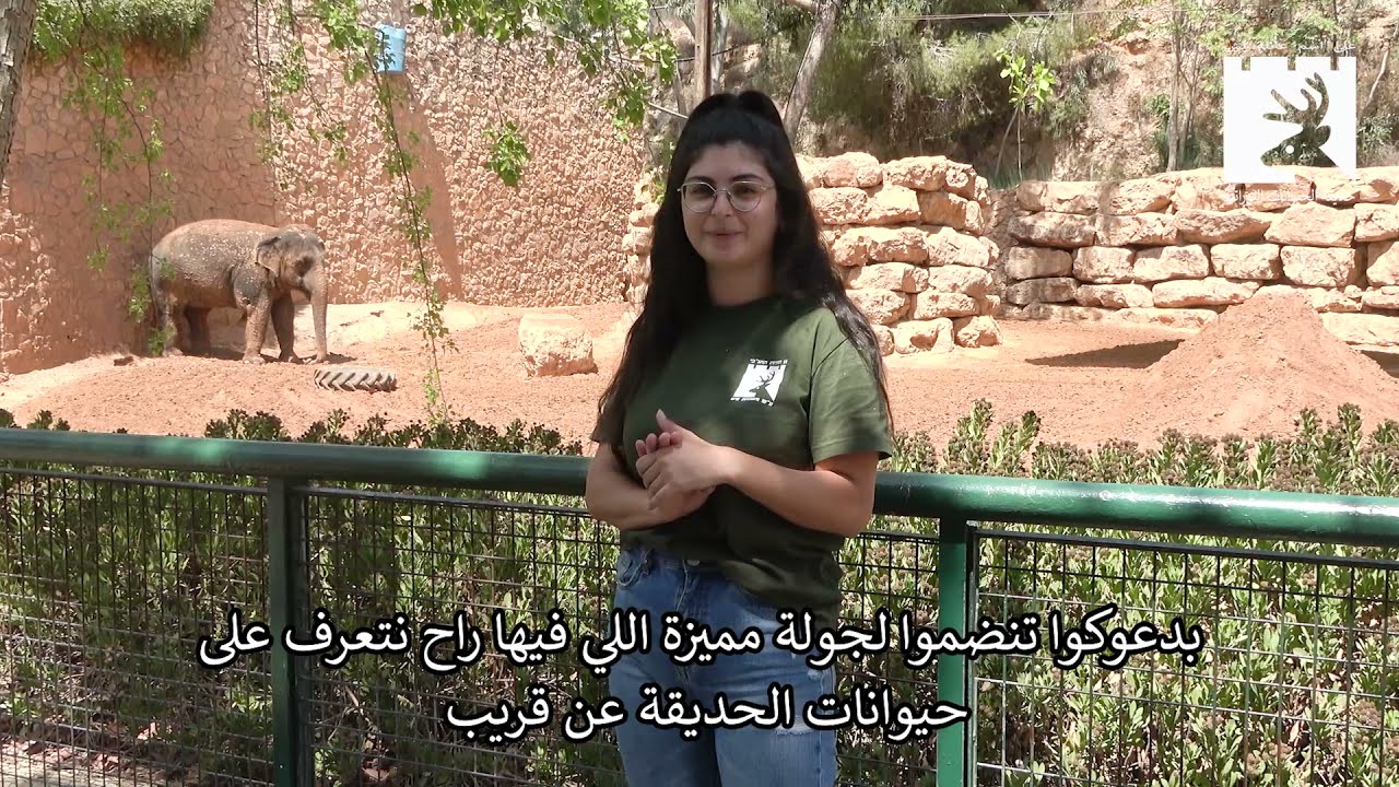 חדש בגן החיות! סיורי לילה גם בשפה הערבית   جديد في حديقة الحيوانات! جولات ليلية باللغة العربية