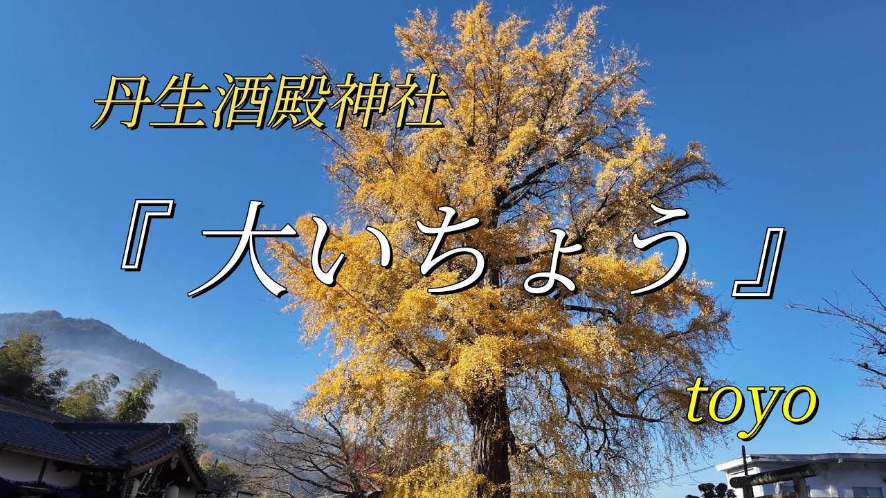 丹生酒殿神社『大いちょう』オリジナル曲217