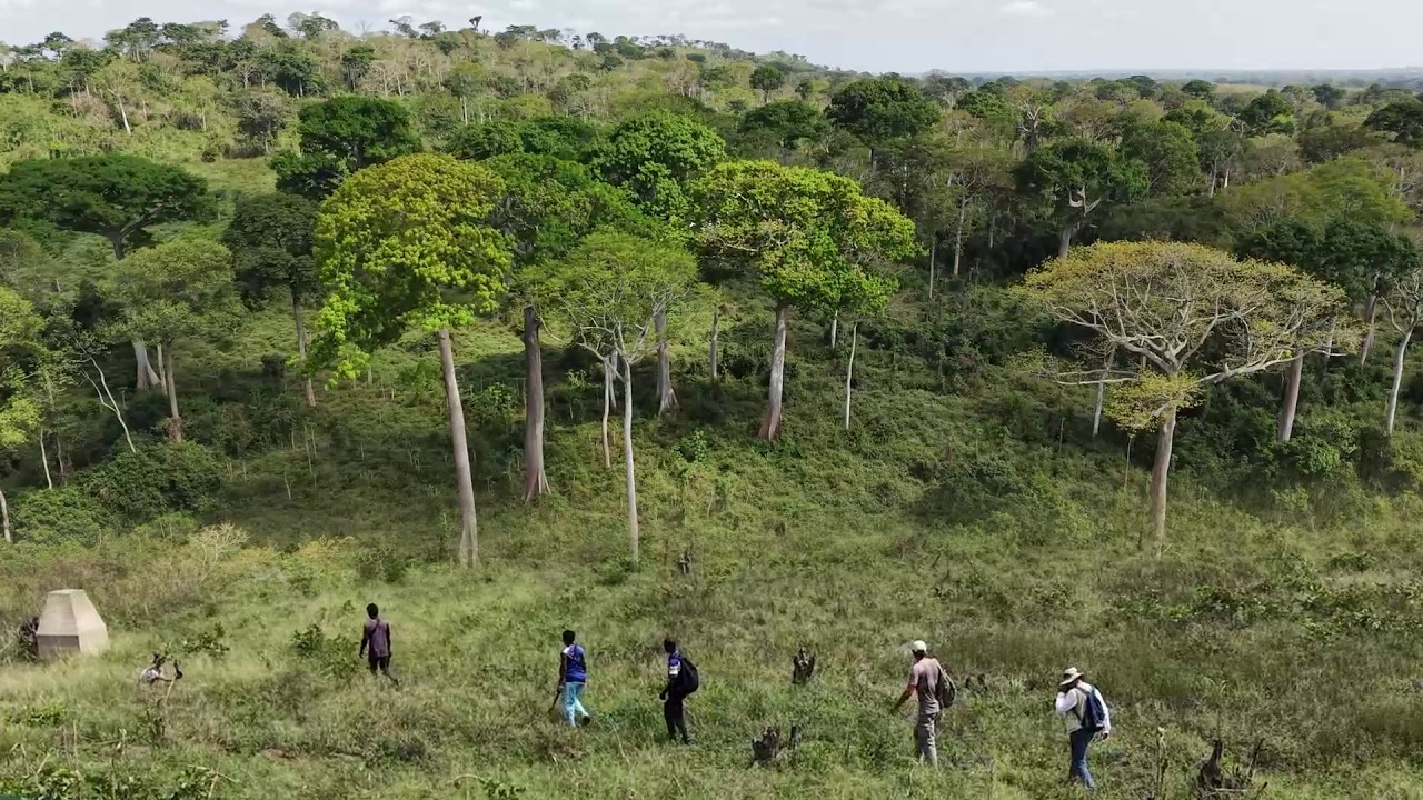 Togodo : Vers un renforcement de la protection des valeurs uniques du Sud Togo