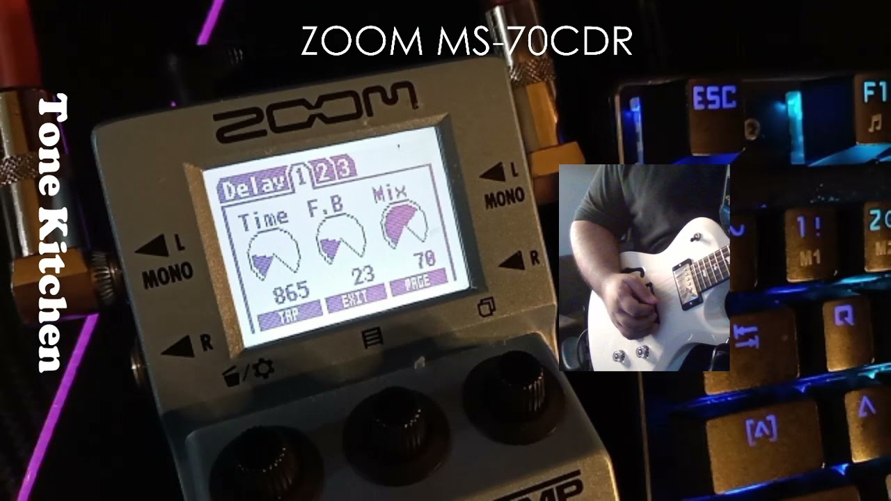 Zoom MS70CDR Delay Demo