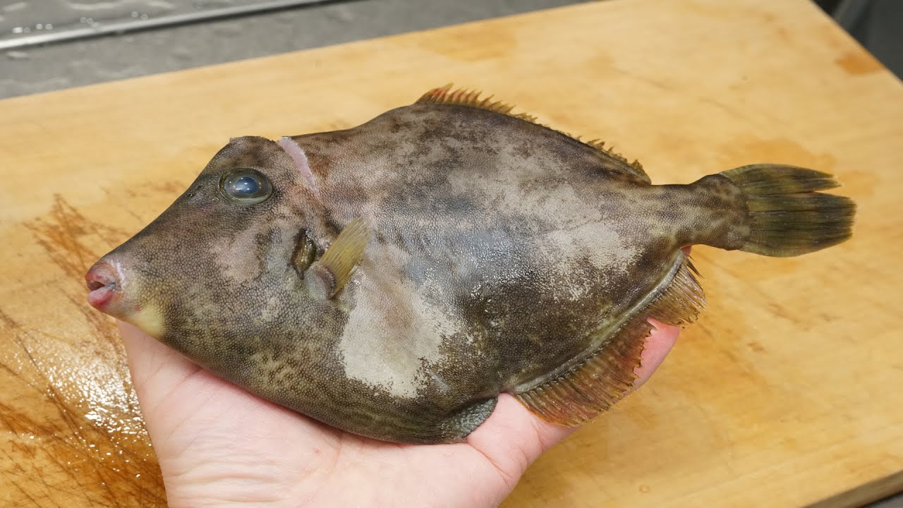 カワハギのさばき方と肝和え（裏漉し）の作り方