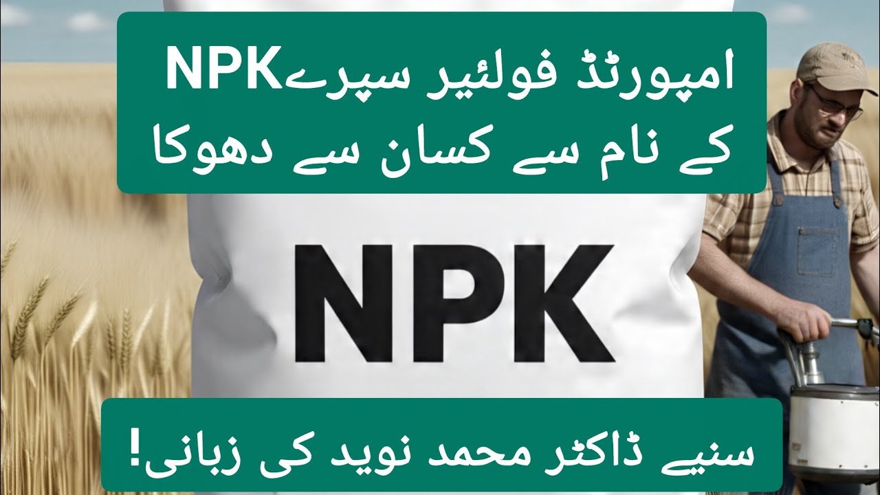 امپورٹڈ فولئیر سپرے NPKکے نام سے کسان سے دھوکا