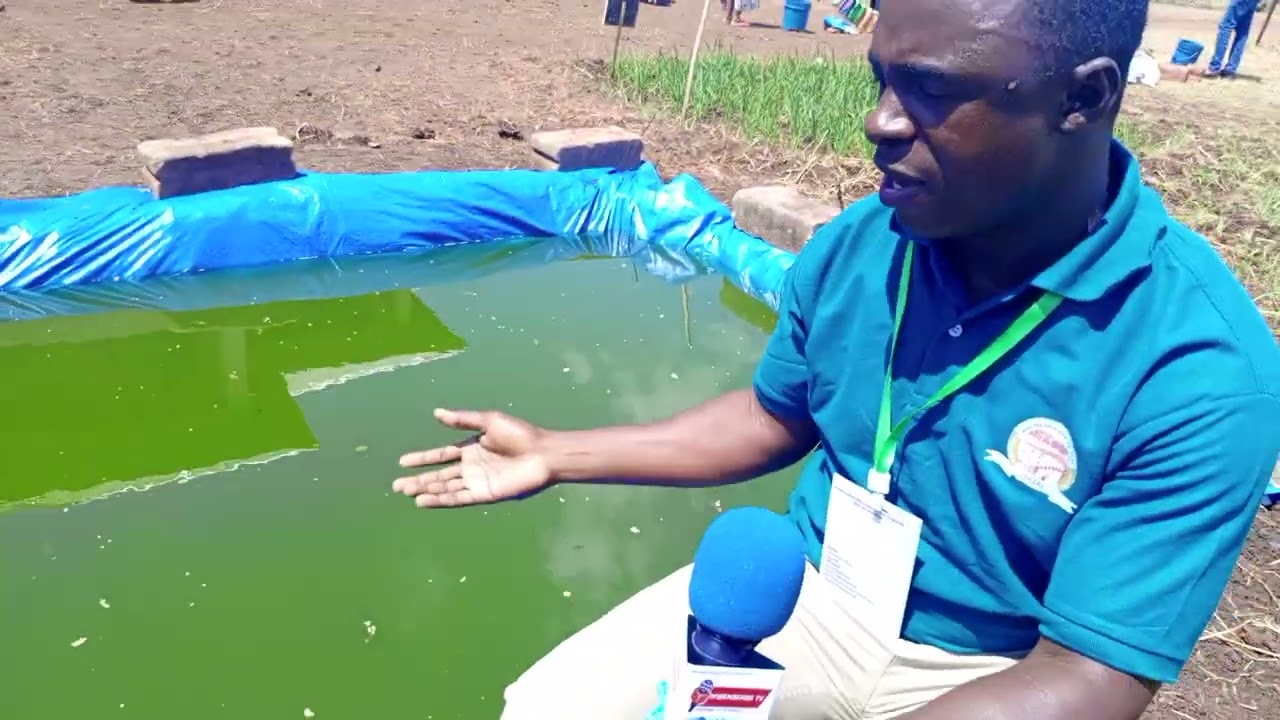 KWA MTAJI MDOGO UNAWEZA KUWA MILIONEA KWA UFUGAJI WA SAMAKI