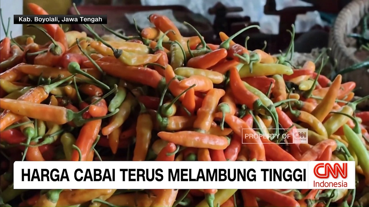 Hargai Cabai, Ayam Potong dan Sejumlah Bahan Pangan Alami Kenaikan