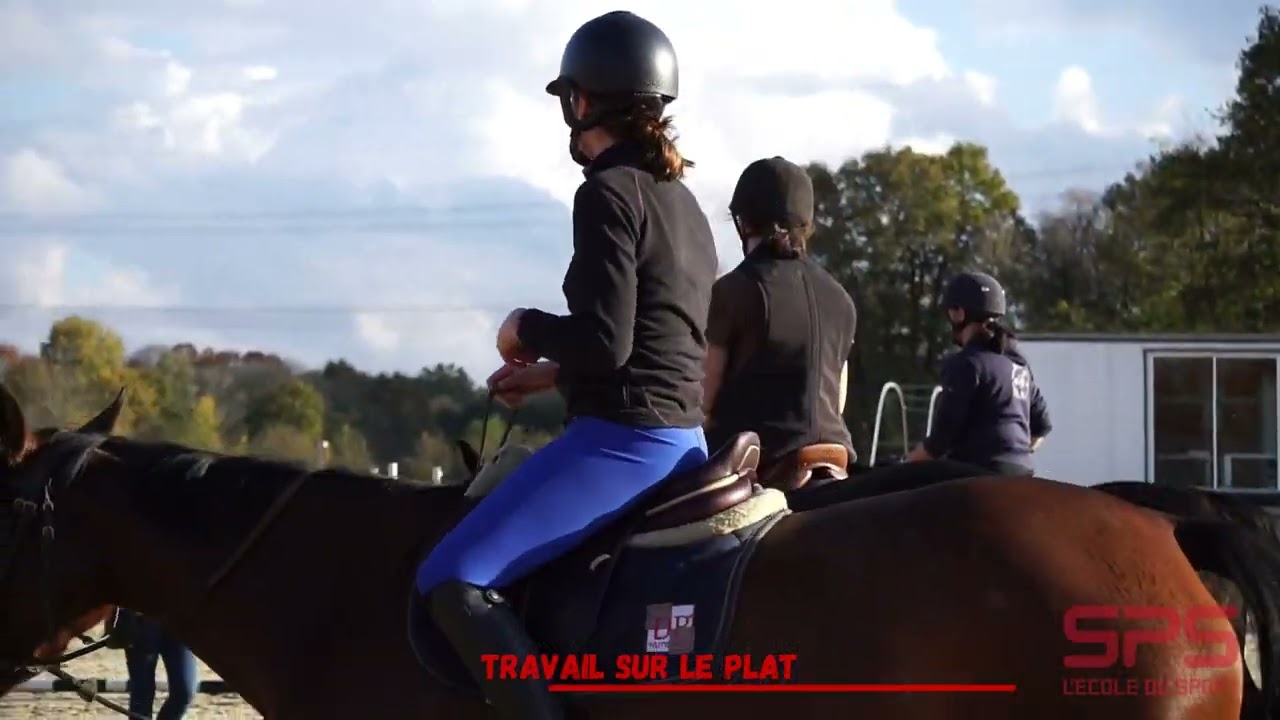 BPJEPS Activités Equestres