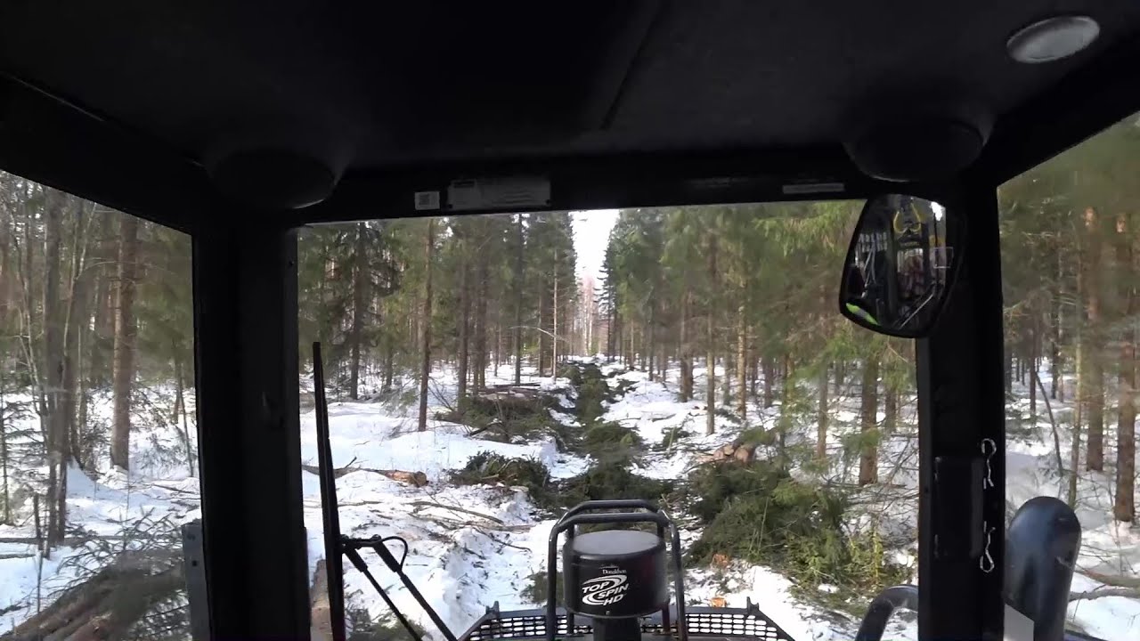 Puun ajoa 8 - Ojalinja