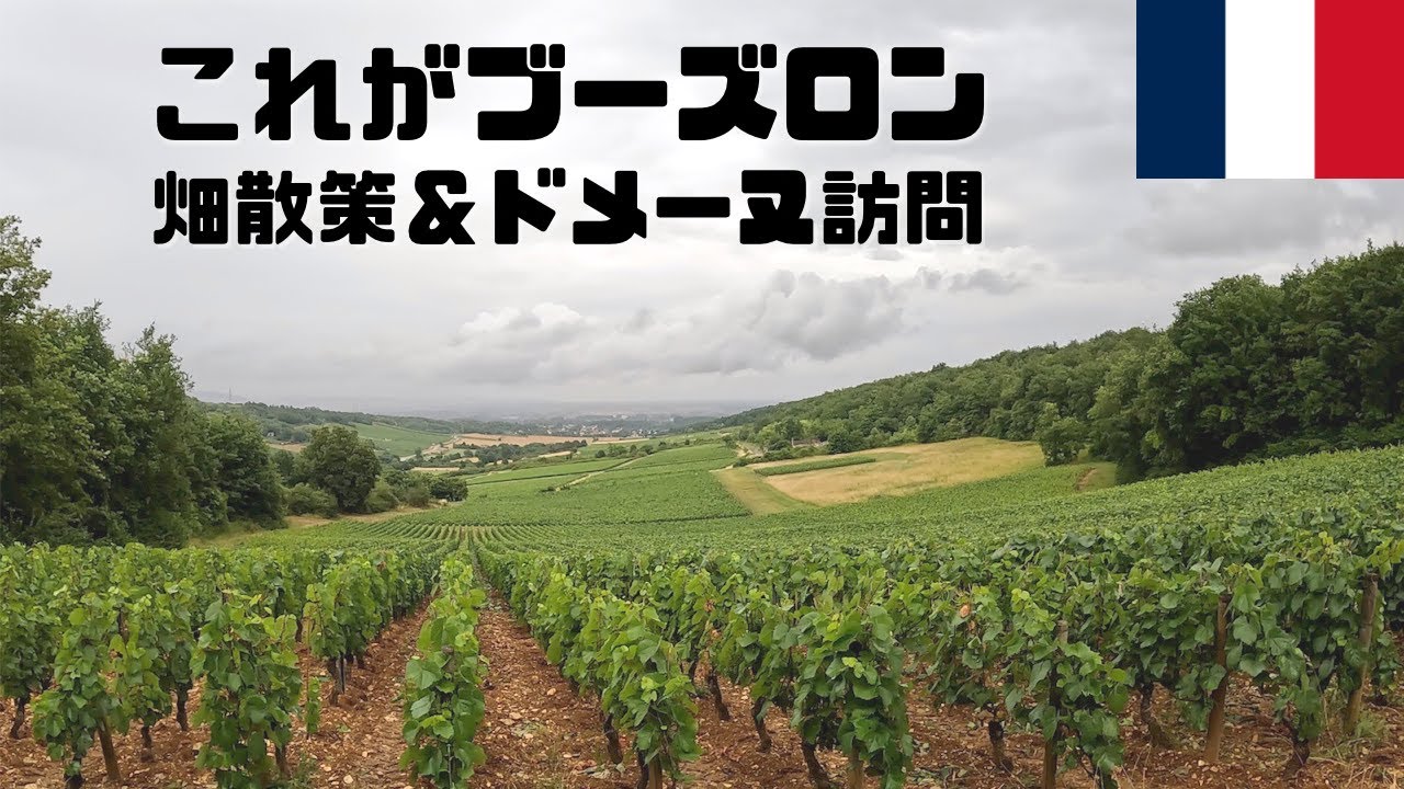 【海外旅行Vlog7】ブーズロンを巡る大冒険！さらにドメーヌ・ド・ヴィレーヌを訪問！アリゴテ好き必見です/ヨーロッパ旅行