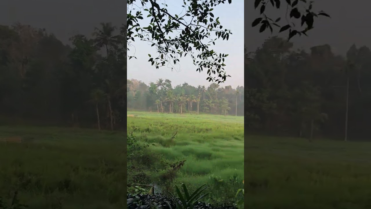 ഓം നമ: ശിവായ !