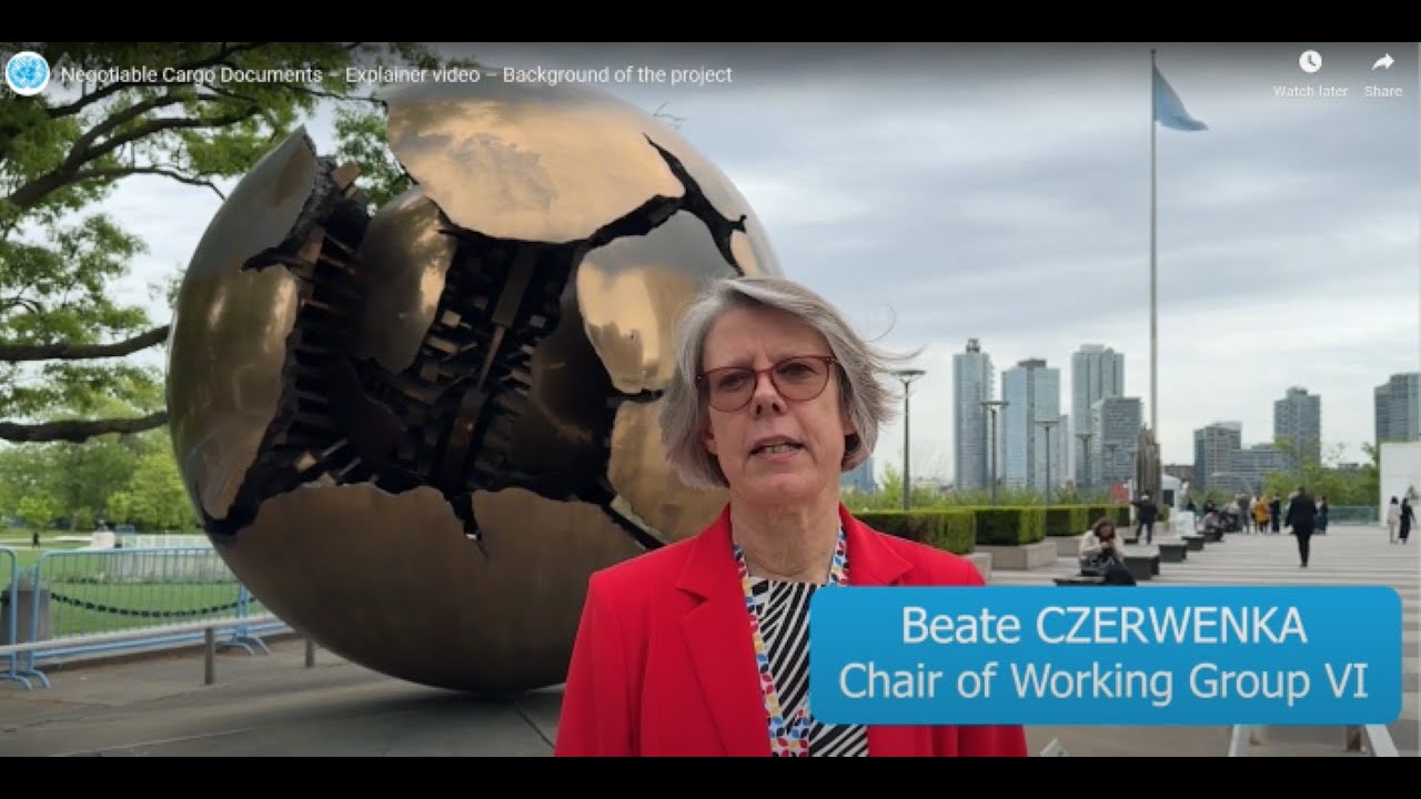 Documentos de Carga Negociables – Video explicativo – Antecedentes del proyecto