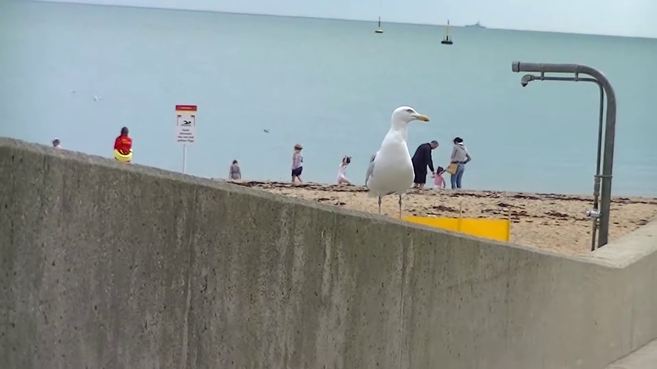 JVC Everio GZ-E205 HD 1080p Test