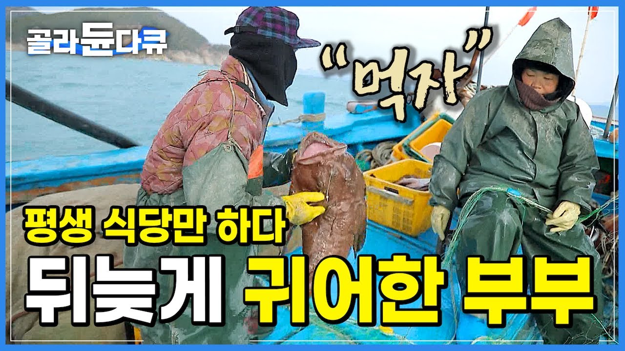 ‘돈이 되든 안 되든 뭐가 중요하랴’ 인생 느지막이 작은 배로 시작한 귀어가 이토록 행복한 이유│평생을 전국에서 식당 운영한 부부의 살아보니 행복한 귀어 생활│한국기행│#골라듄다큐