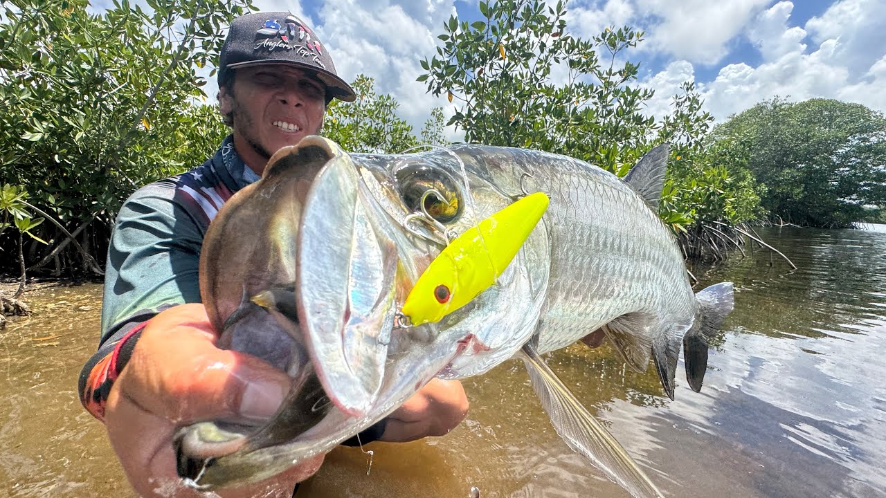 TARPON PARADISE - THE BEST FISHING SPOT I EVER FISHED P2