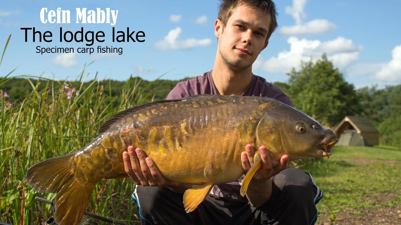 Cefn Mably Specimen Carp Fishing 'The Lodge Lake'