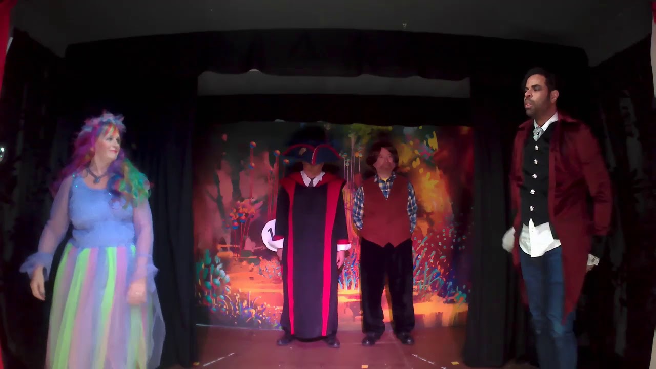 Cavron Players 2020 panto Mother Goose. Pree-interval dance scene,