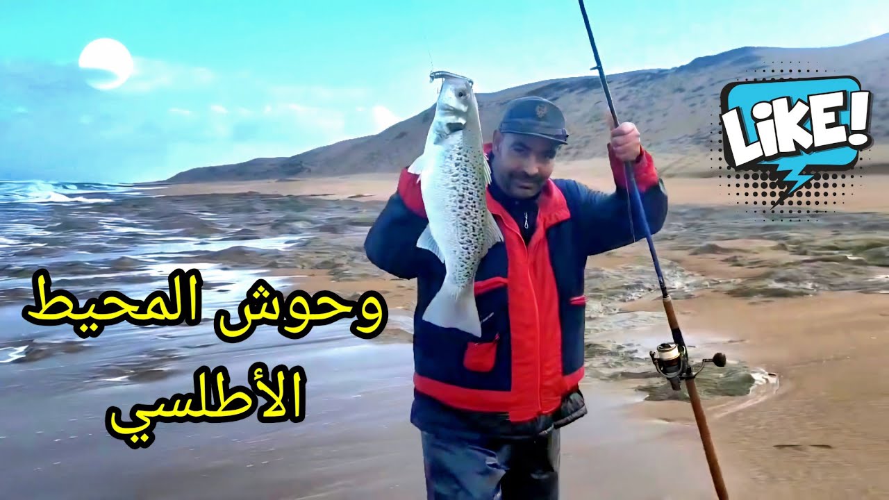 على المباشر صيد سمك أبلاغ xxxl