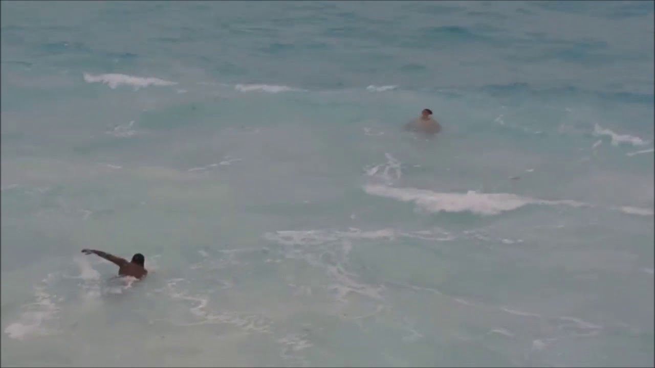 הצילו זרם נסוג
