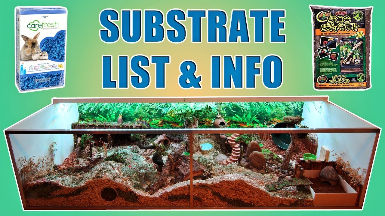 Substrates I Use In My Hamster's Habitat 🐹