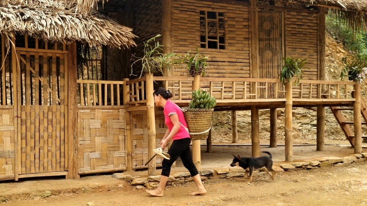 Harvest agricultural products to sell at the market - take care of pets