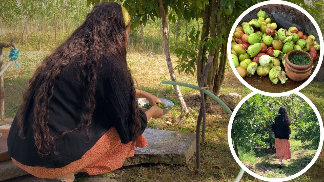 ‏Making a Traditional Snack with Sour Plums & Herbs | Life in an Iranian Village