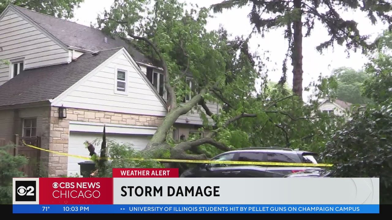 Storms knock down trees, flood roads across Chicago area