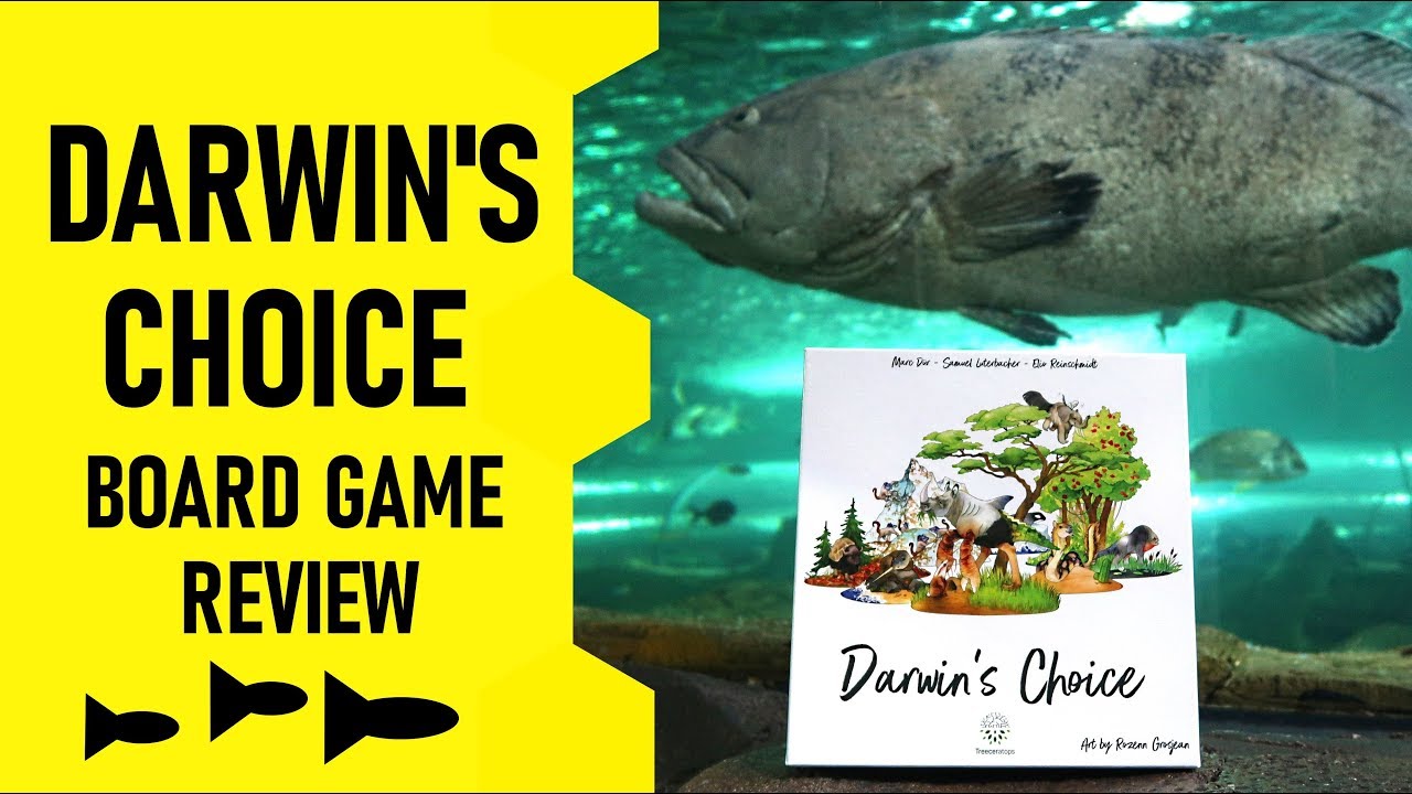 Darwin's Choice Board Game Review & Runthrough